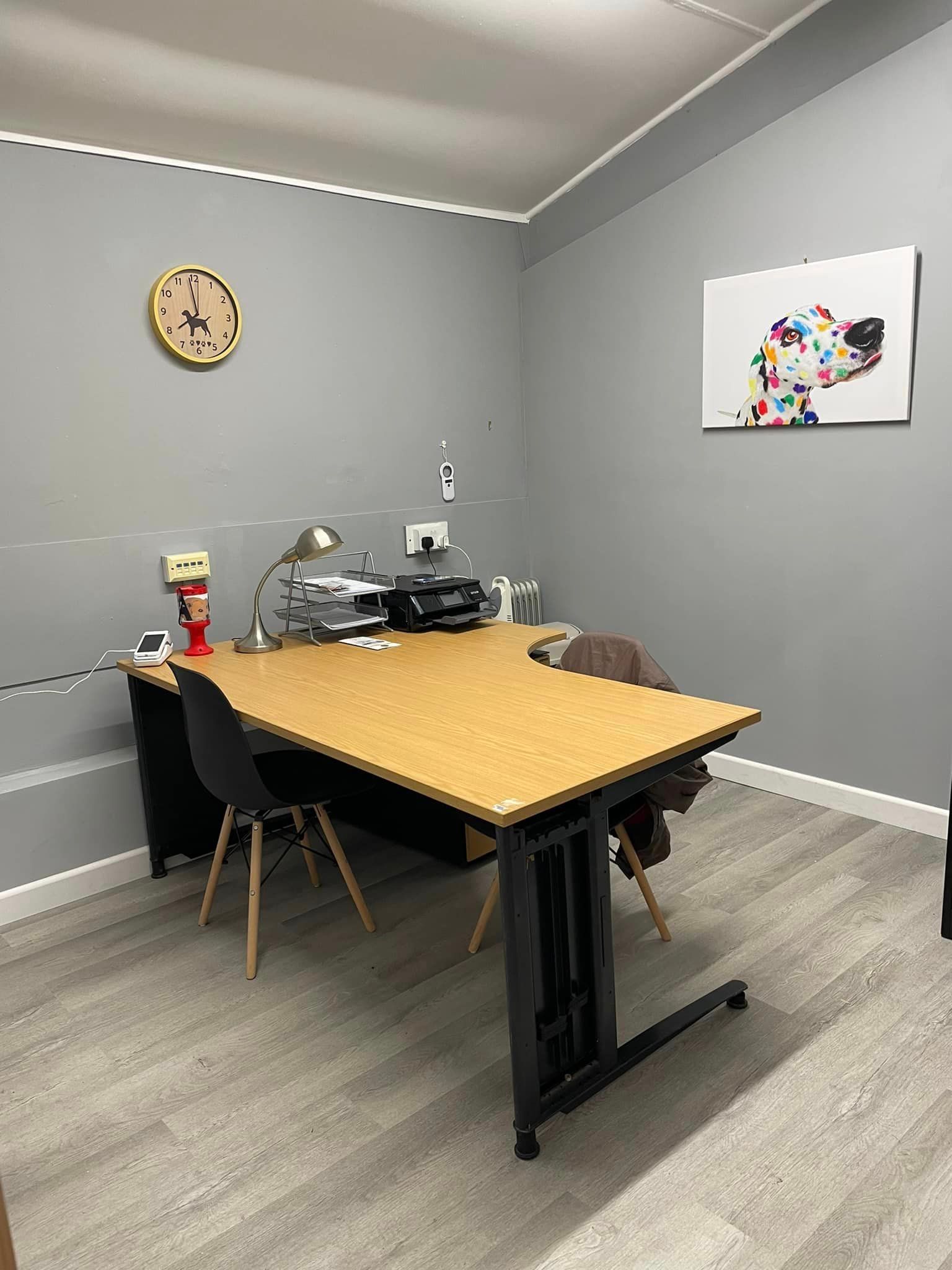 Our consult room with a desk, chairs and a colourful dog print on the wall